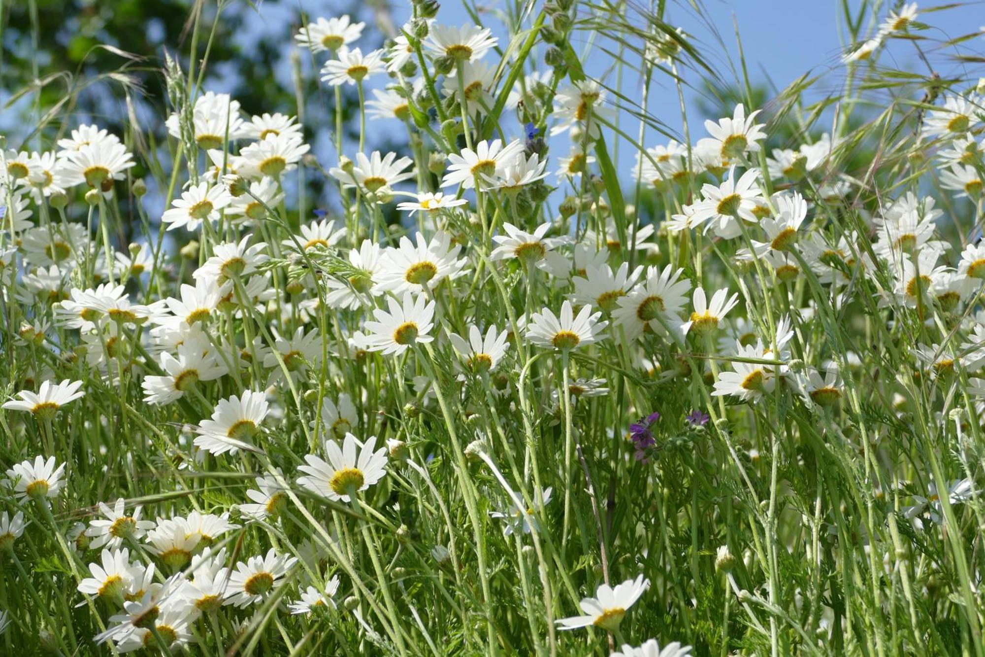 Naturgarten Karlsfeld In Der Schoenen Lausitz Welzow Exterior foto